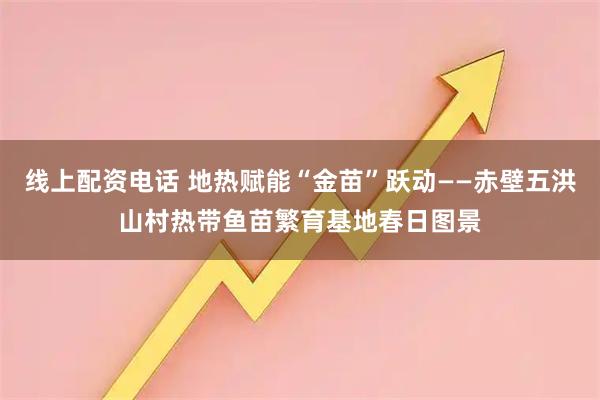 线上配资电话 地热赋能“金苗”跃动——赤壁五洪山村热带鱼苗繁育基地春日图景